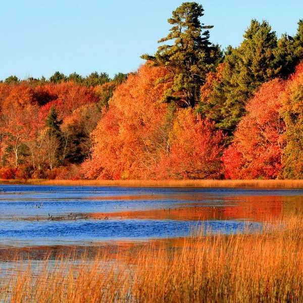 12 Reasons Why I Love The Fall Season.