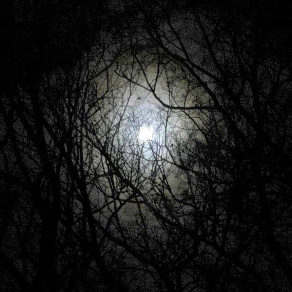Pitch Black