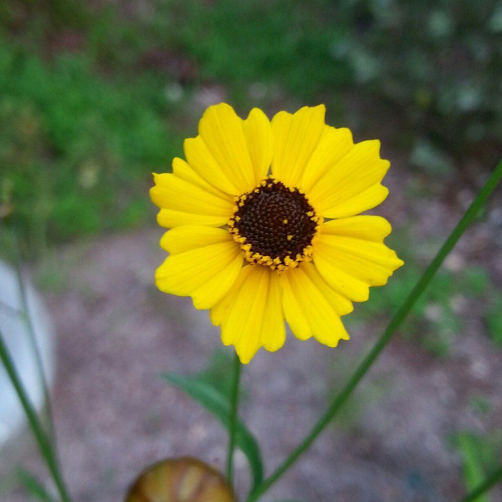 Taking A Breather From Everyday Stresses