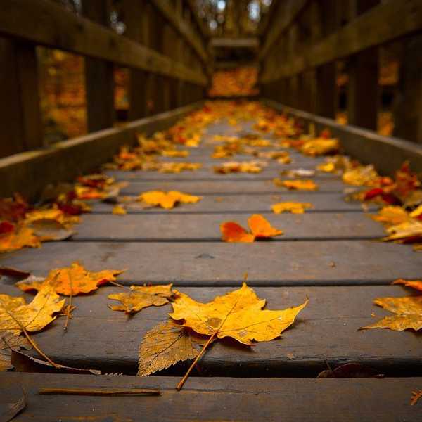 Heres Why Fall is the Best Season Ever