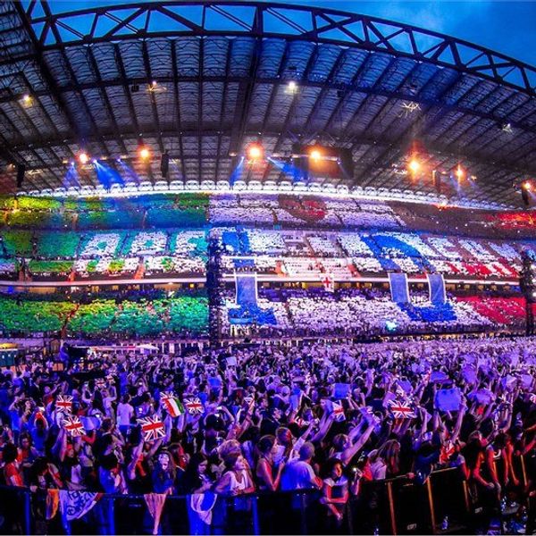 One Direction Fans: Who Are They?