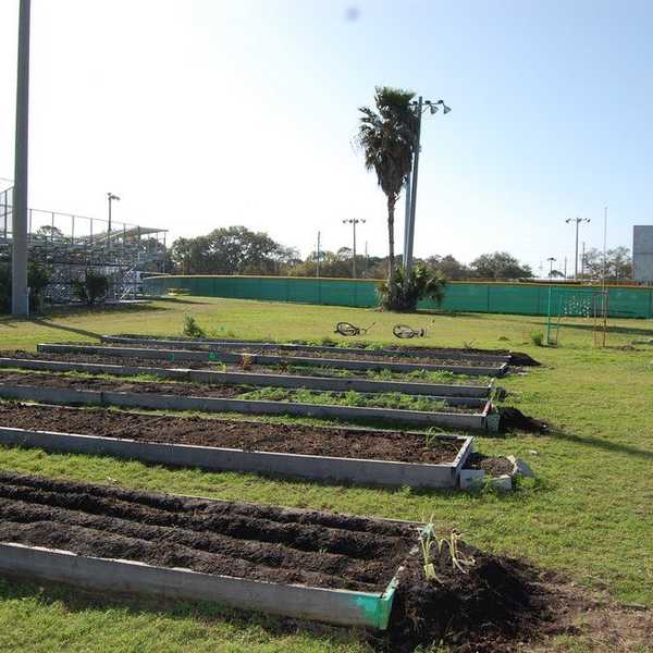 6 Ways to Go Green on Campus