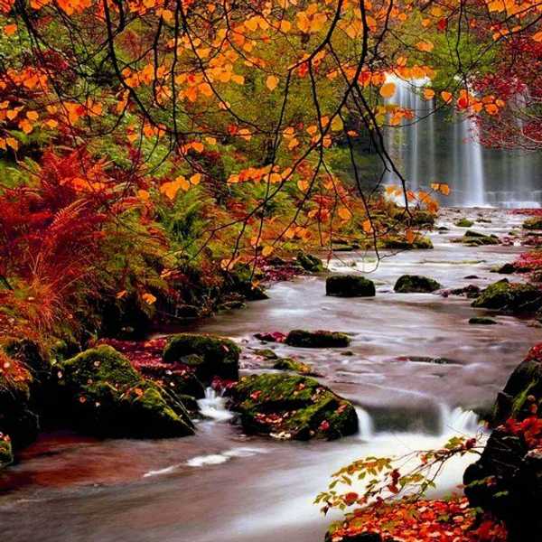 10 Ways To Fall Into The Autumn Spirit