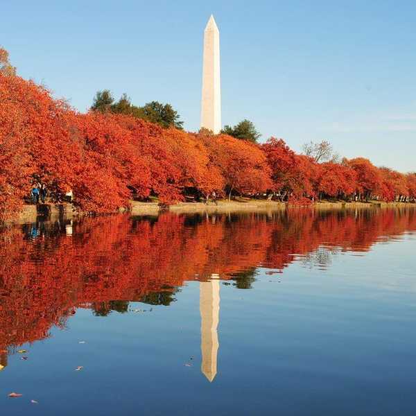 Three Fall DC Must Dos