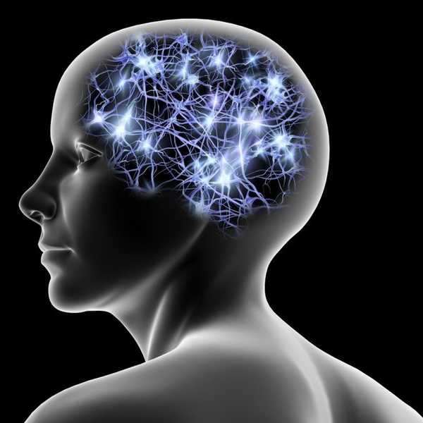 The Mind-Body Problem