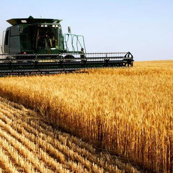 Big Ag: Is Bigger Always Better?