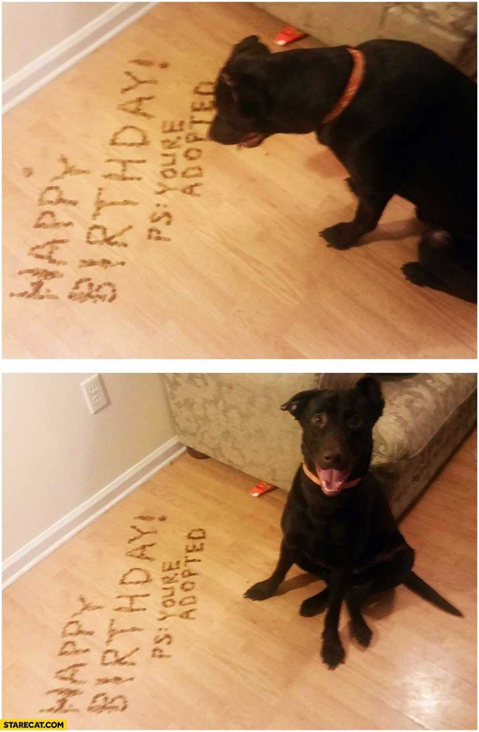How I Felt When I Found Out I Was Adopted