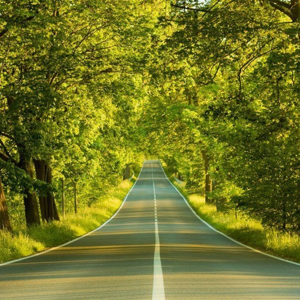 16 Inspirational Quotes To Remember When Life Gets You Down