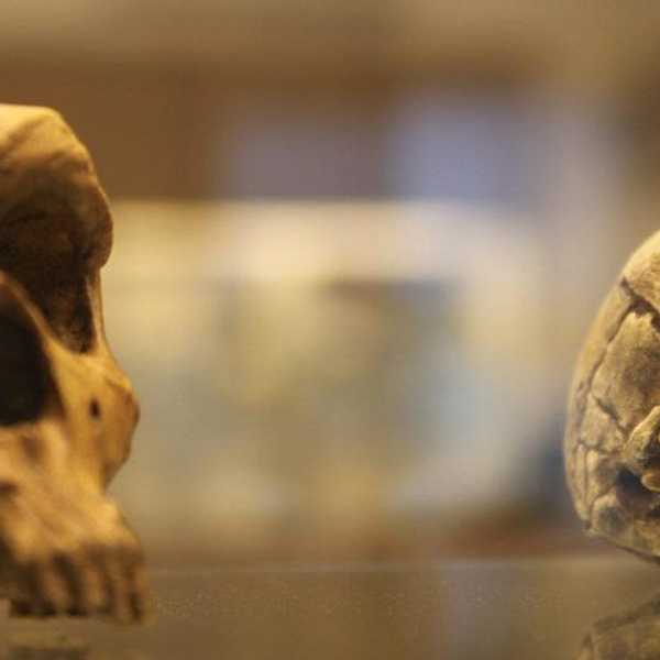 What The Heck Is Anthropology?