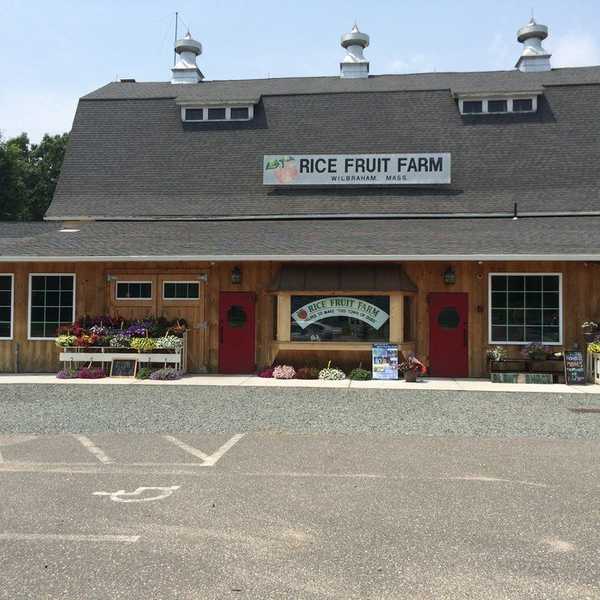 10 Things Only People From WIlbraham Understand