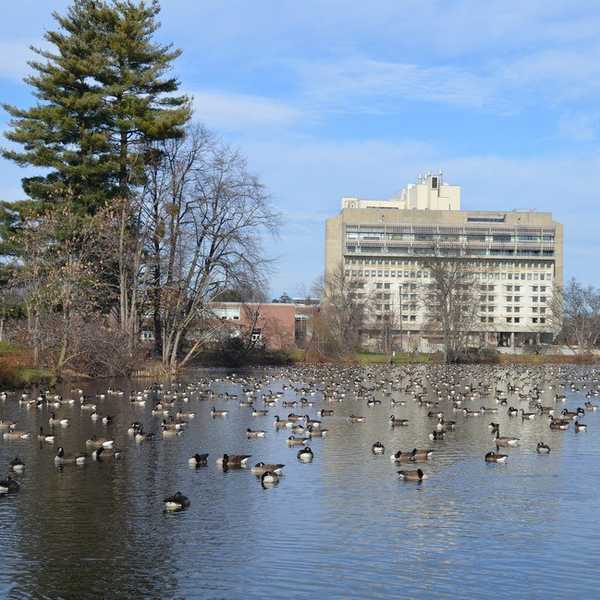 5 Things I Forgot About UMass Over the Summer