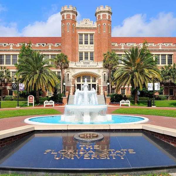 5 Best Study Spots at FSU