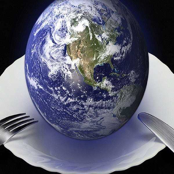 Veganism From A Sustainability Perspective