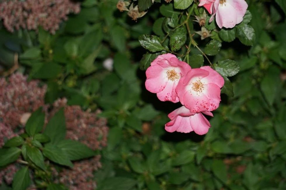 To the Person Who Inspired Me