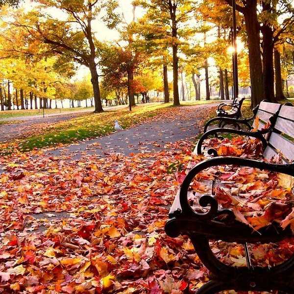 6 Reasons To Fall For Fall