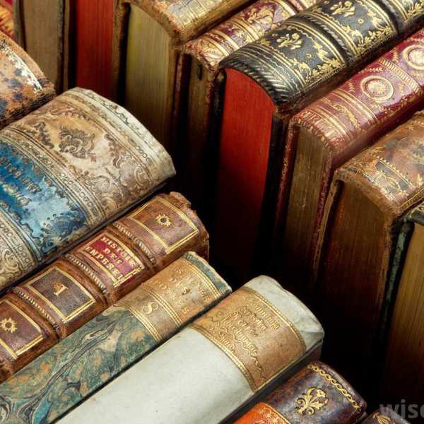 Thoughts From An English Major