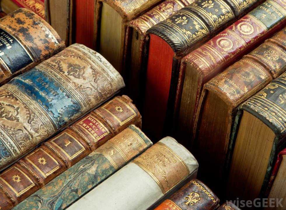 Thoughts From An English Major
