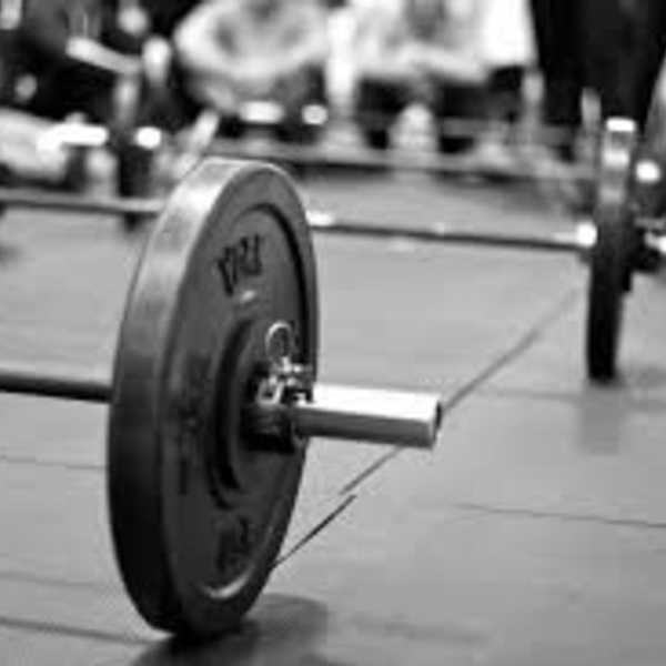 A Personalized Declassified Gym Survival Guide