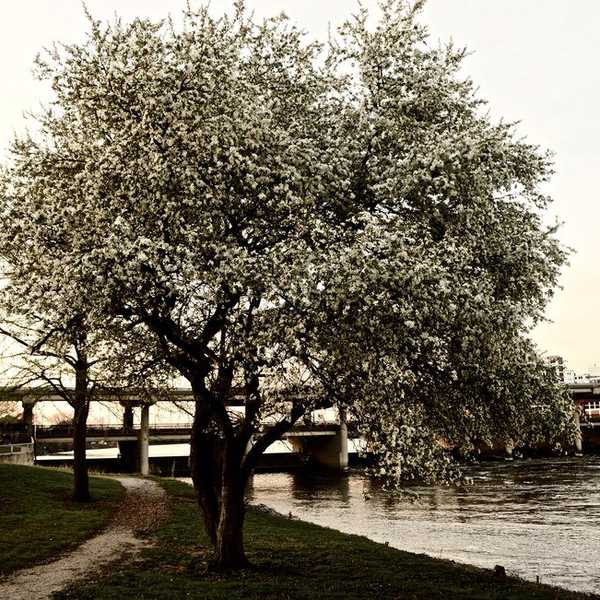 Reasons I Chose To Attend An Out-Of-State College