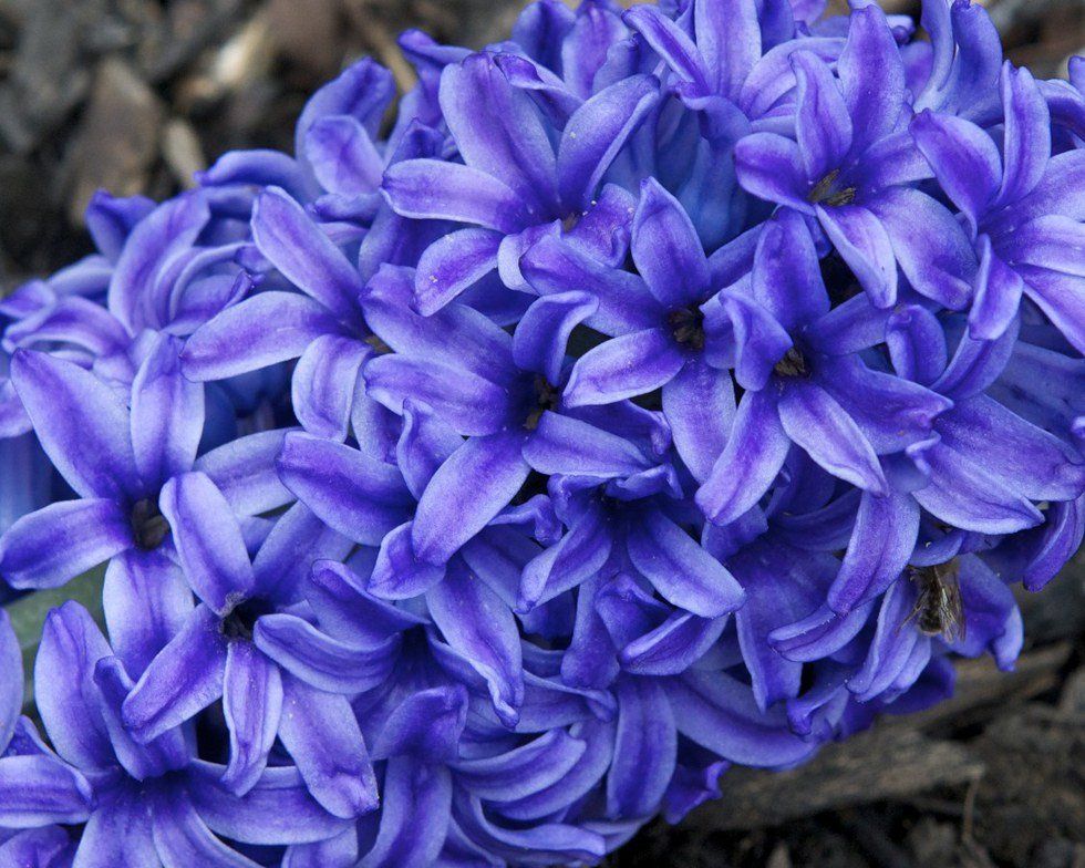 How I Became an Awesome "Old Lady" at 22