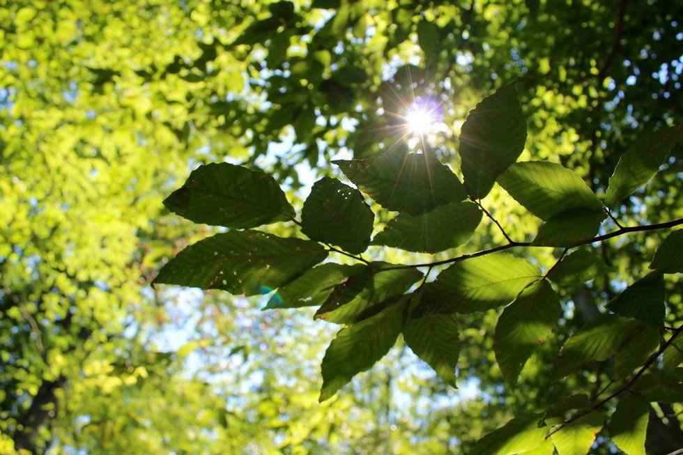 Photographs of Nassau County