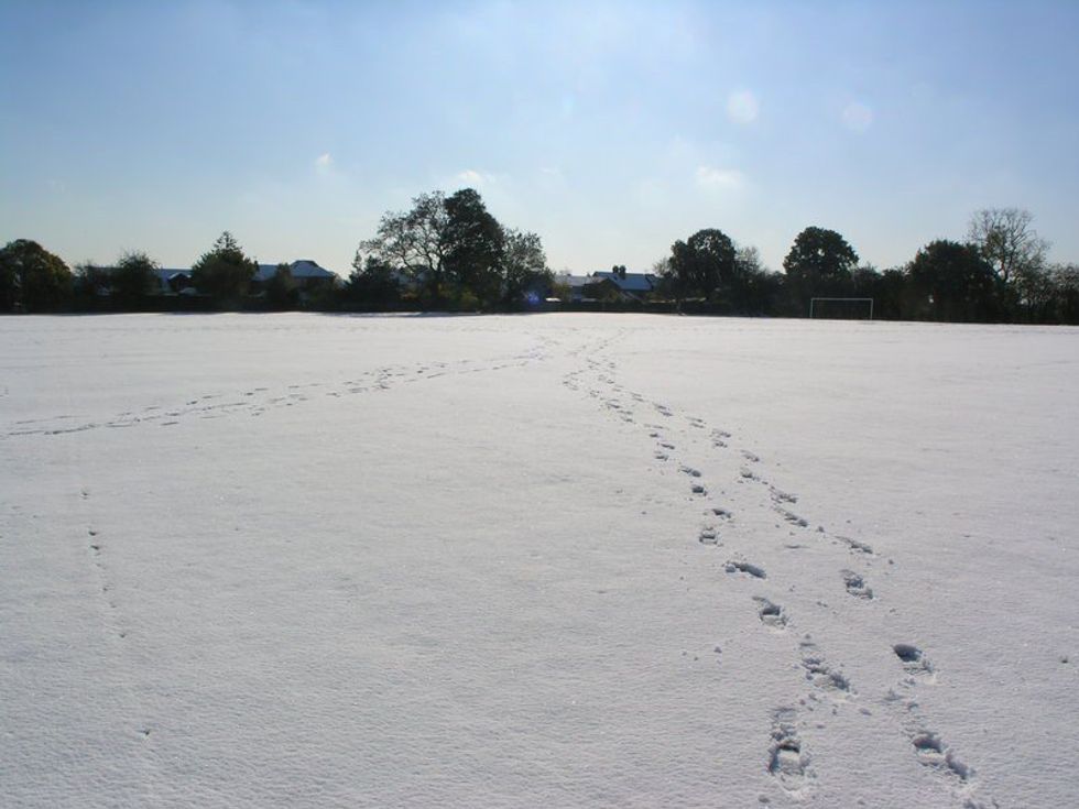 If I Could Meet You Again