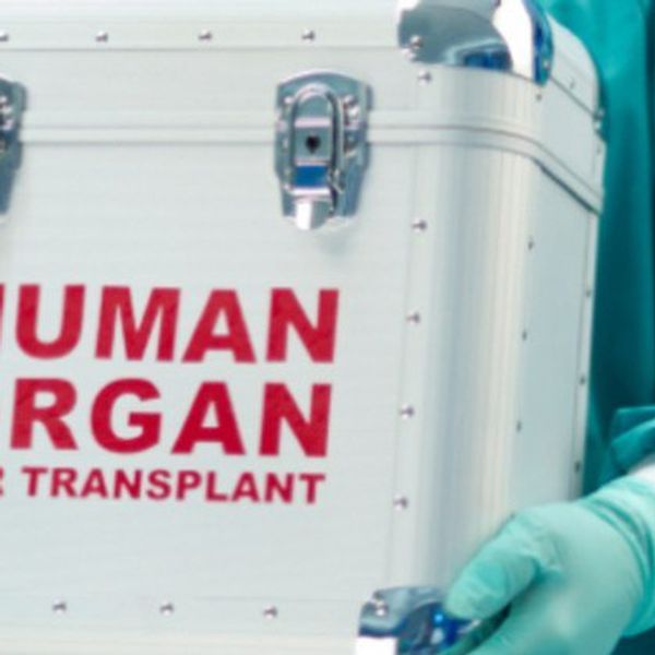 Legalizing the Sale of Human Organs