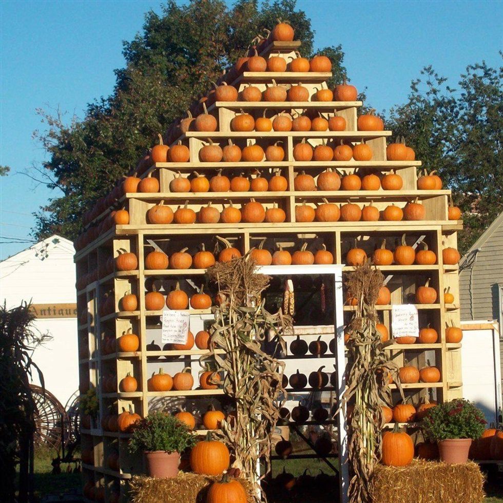 Food, Fun, Laughter and Music