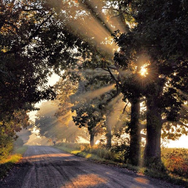 Why You Shouldn't Live For The Weekend