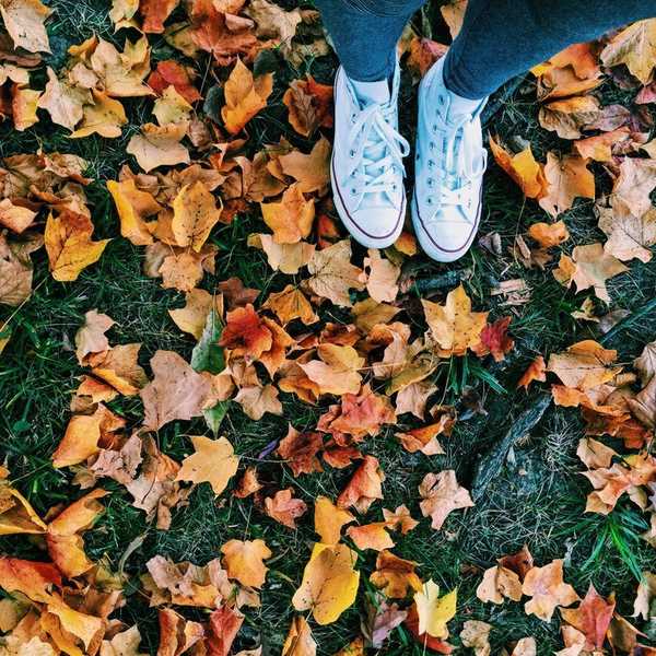 10 Reasons Why Fall Slays All Other Seasons