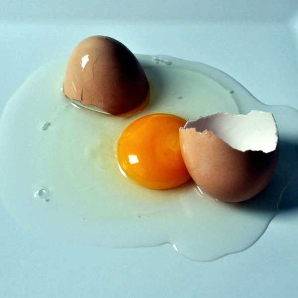 The Internet Told Me To Wash My Hair With An Egg, So I Did.