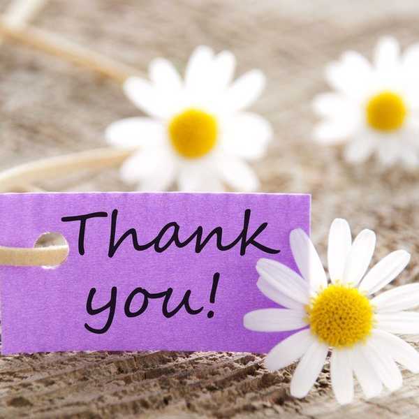 A Small Thank You To My New Roommates