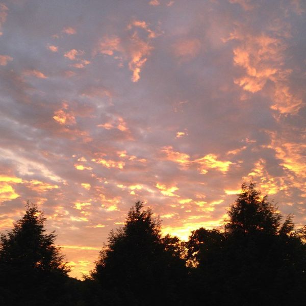 The Four Rules Of Poetry