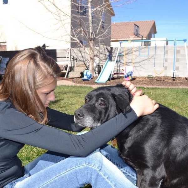 The Pain Of Losing A Pet