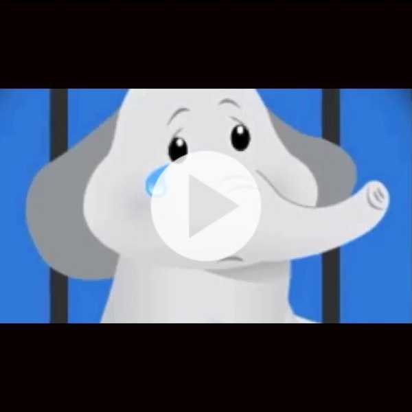 Animal Abuse In The Circus