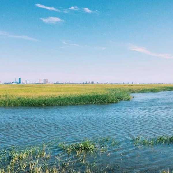Five Ways Coastal Residents Can Help To Keep Estuaries Pristine