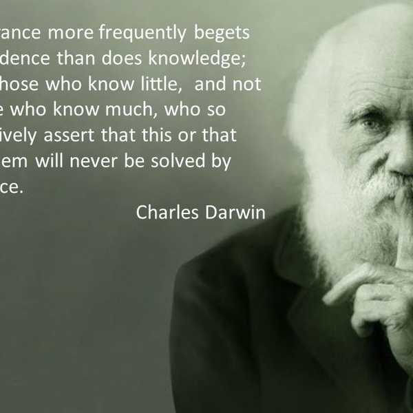The Practical Flaws In Creationism