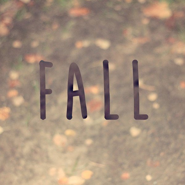 20 Signs You Know Fall Is Here | The Odyssey Online