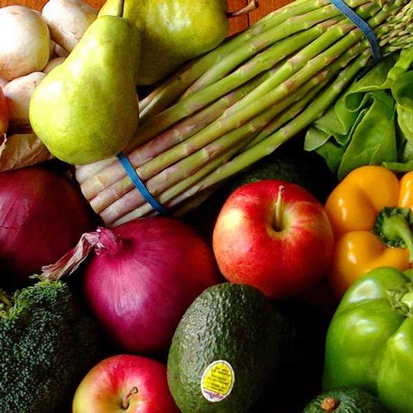 Answers To Common Questions About Vegans