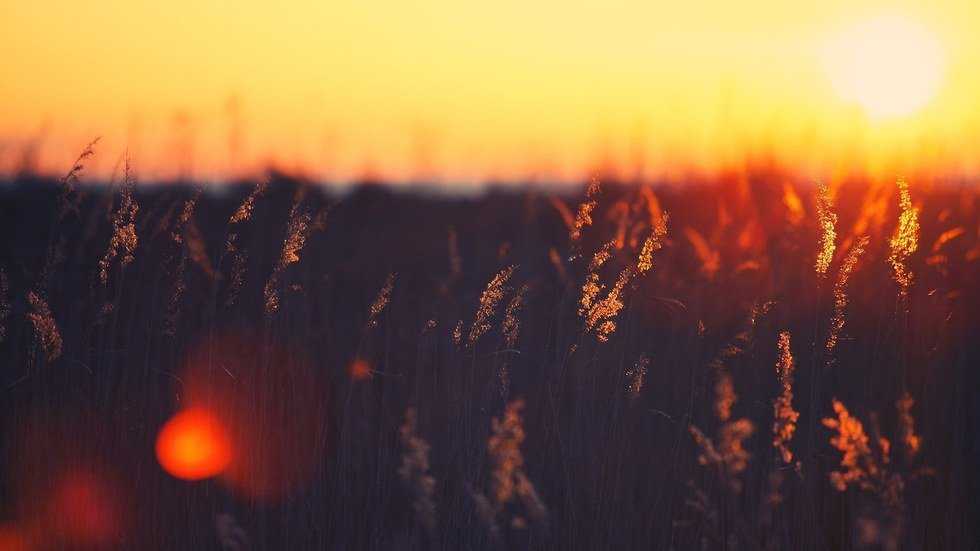 To Those I Lost Along The Way