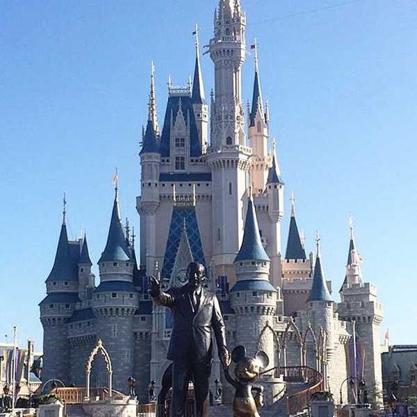 The Best DCP Bucket List Ever Created