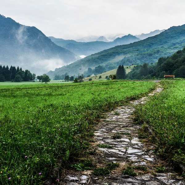 Paths Of Fate