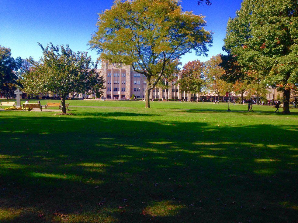 A College Student's Life During Syllabus Week