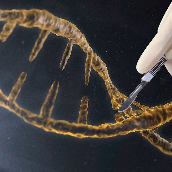 What Is CRISPR And Why Does It Matter?