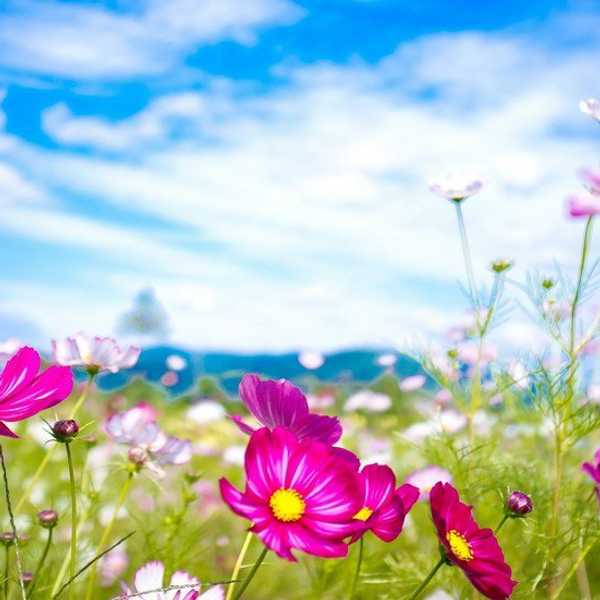 Summer Hasn't Left Just Yet!