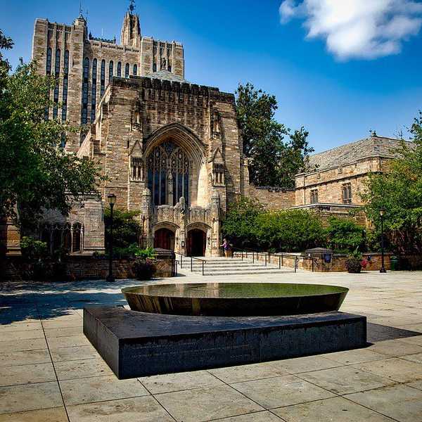 College Freshman Survival Guide