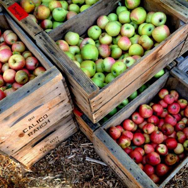 8 Activities For The Fall In Southeastern Massachusetts