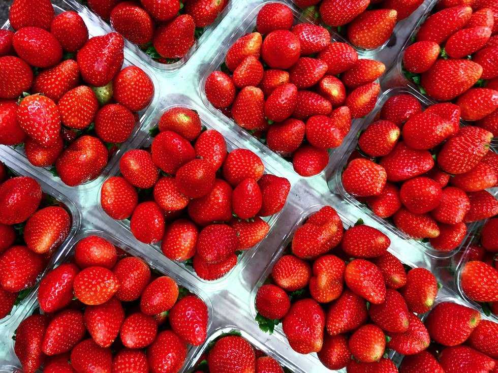 Perks of Being a Nutrition Minor