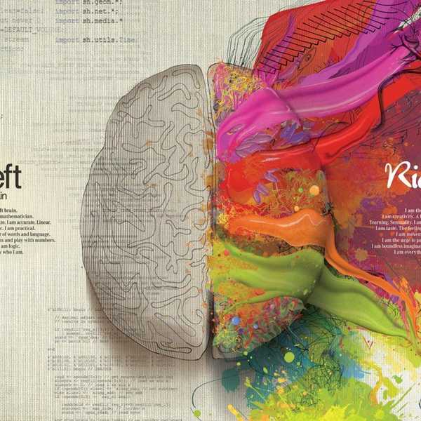 How To Be A Psychology Major