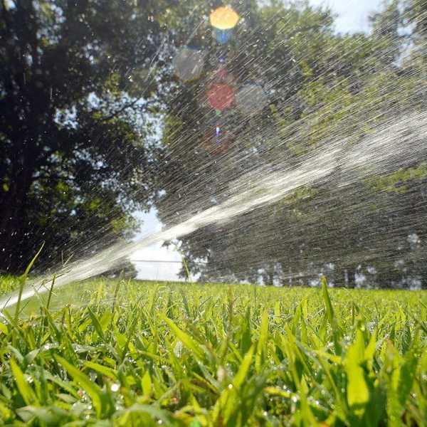 Grass Lawns, Third Parties and Other Useless Things